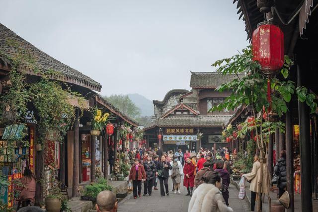 穿越遗弃的森林